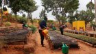 Madagascar: des pépinières pour replanter les forêts